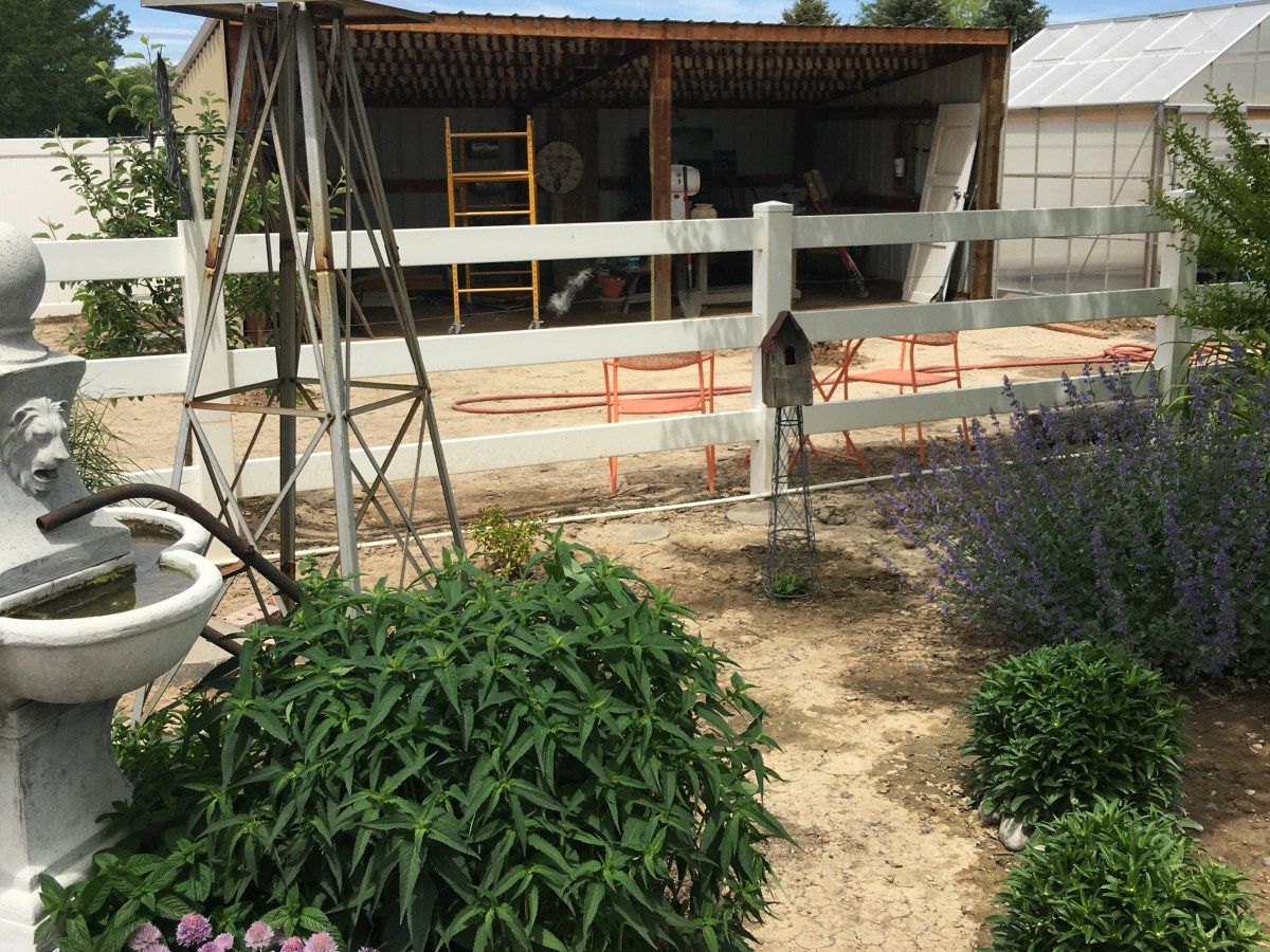 Turning an old barn into a chicken coop and potting shed.