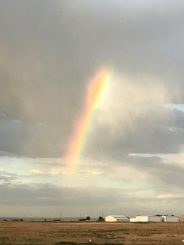 Godly Life verses a Worldly One